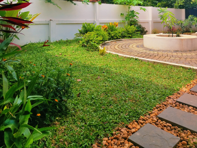 Latest Project Image